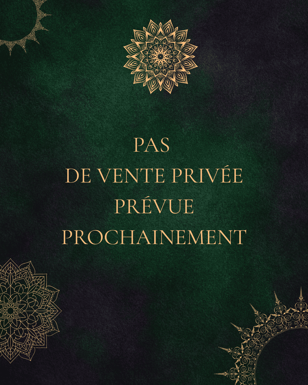 PAS DE VENTE PRIVÉE PROGRAMMÉE