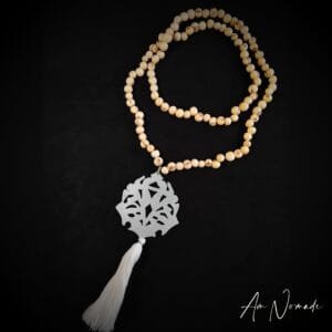 LE MALA DE LA CROISSANCE INFINIE